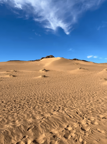 From Marrakech: Zagora 2-Day Desert Safari with Food & Camp | ®ExcursionMania