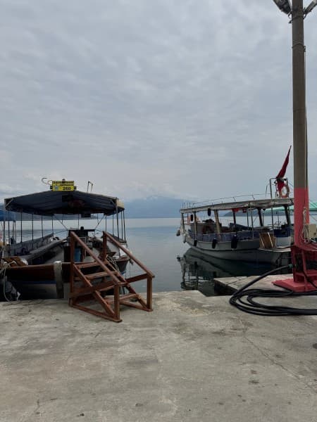 From Fethiye: Dalyan Mud Baths and Turtle Beach Day Tour | ®ExcursionMania - Image 4