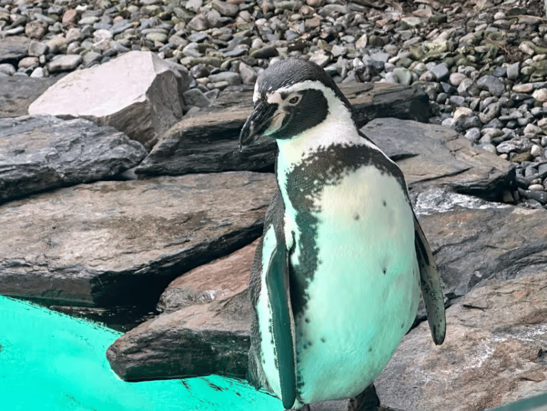 Krakow: Zoo with Hotel Pickup | ®ExcursionMania - Image 1