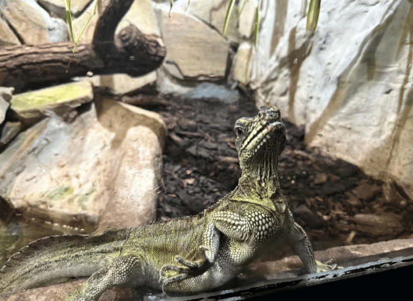 Krakow: Zoo with Hotel Pickup | ®ExcursionMania - Image 2