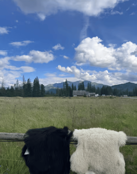 Zakopane: Chocholow Thermal Pools Entry with Hotel Transfer | ®ExcursionMania - Image 1