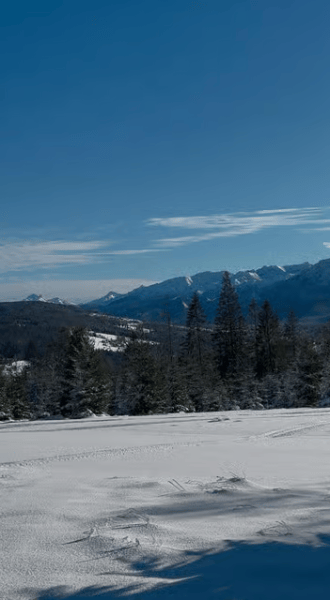 Zakopane: Extreme Snowmobile Ride with Bonfire and Transfers | ®ExcursionMania - Image 4