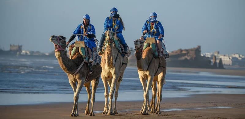 Essaouira: 2-Hour Camel Ride | ®ExcursionMania - Image 1
