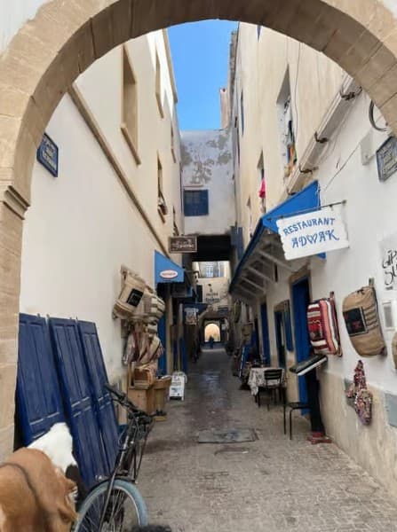 From Marrakech: Essaouira & Atlantic Coast Full-Day Trip | ®ExcursionMania - Image 2