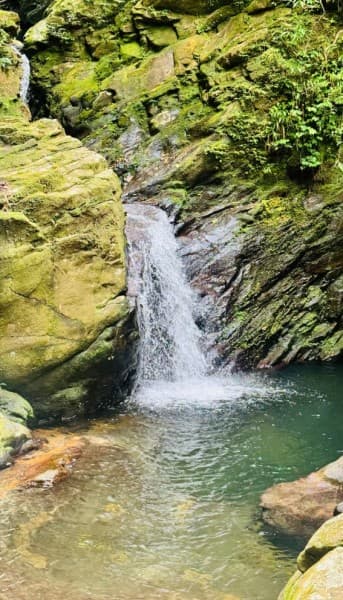 From Hue/Da Nang/Hoi An: Bach Ma National Park Trekking Tour | ®ExcursionMania - Image 1