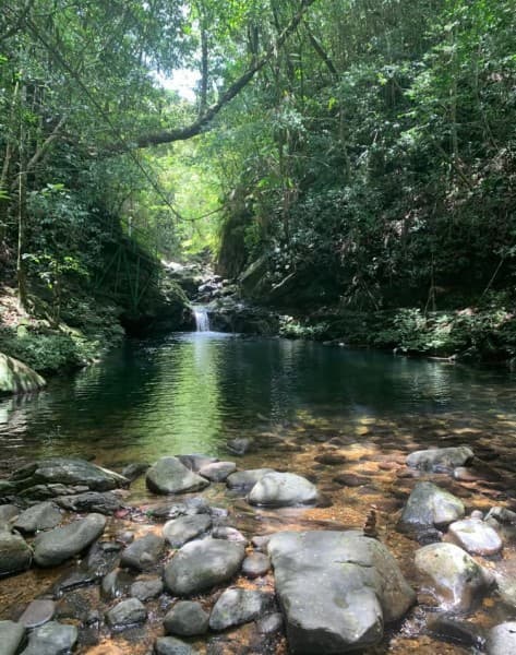 From Hue/Da Nang/Hoi An: Bach Ma National Park Trekking Tour | ®ExcursionMania - Image 4