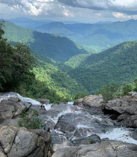 From Hue/Da Nang/Hoi An: Bach Ma National Park Trekking Tour | ®ExcursionMania