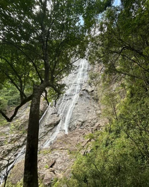 From Hue/Da Nang/Hoi An: Bach Ma National Park Trekking Tour | ®ExcursionMania