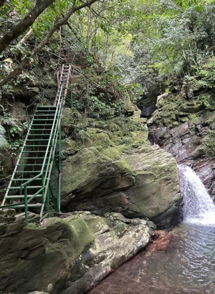 From Hue/Da Nang/Hoi An: Bach Ma National Park Trekking Tour | ®ExcursionMania