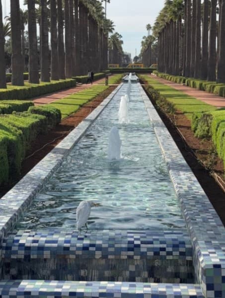 Guided tour of Casablanca from the port or hotels | ®ExcursionMania - Image 3