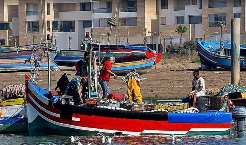 Rabat full-day Trip From Casablanca Guided Tour | ®ExcursionMania