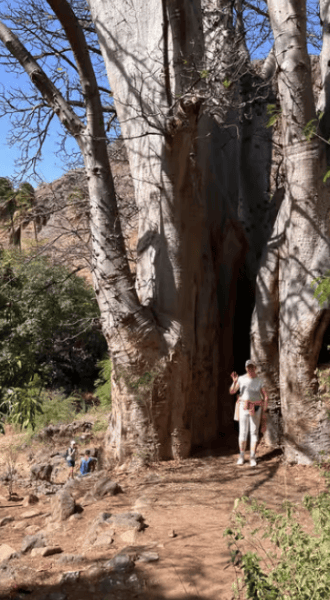 Praia: Guided Nature Hike to Cidade Velha | ®ExcursionMania - Image 4