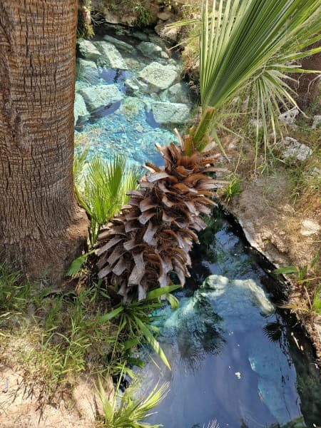 From Fethiye: Full-Day Pamukkale & Hierapolis Tour | ®ExcursionMania - Image 1