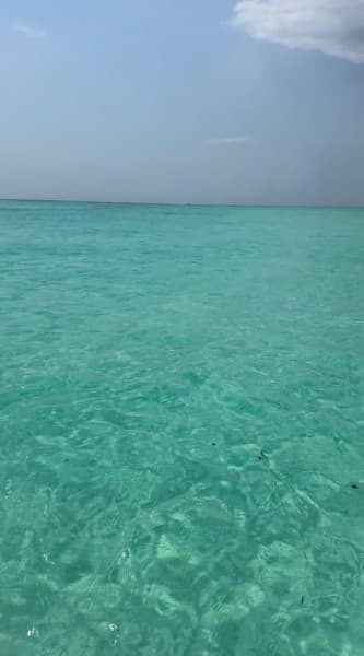 From Zanzibar: Mnemba Boat Tour with Snorkeling & Dolphine | ®ExcursionMania - Image 1
