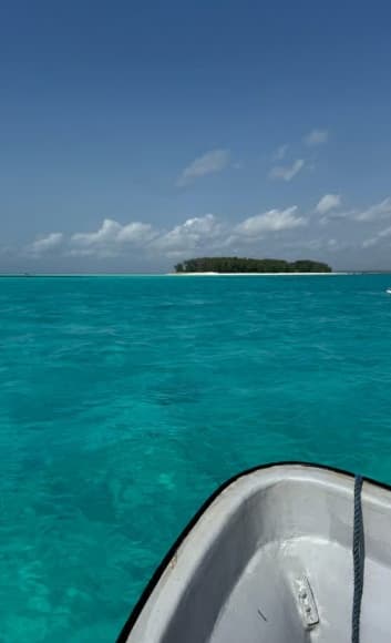 From Zanzibar: Mnemba Boat Tour with Snorkeling & Dolphine | ®ExcursionMania - Image 2