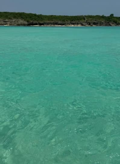 From Zanzibar: Mnemba Boat Tour with Snorkeling & Dolphine | ®ExcursionMania - Image 3