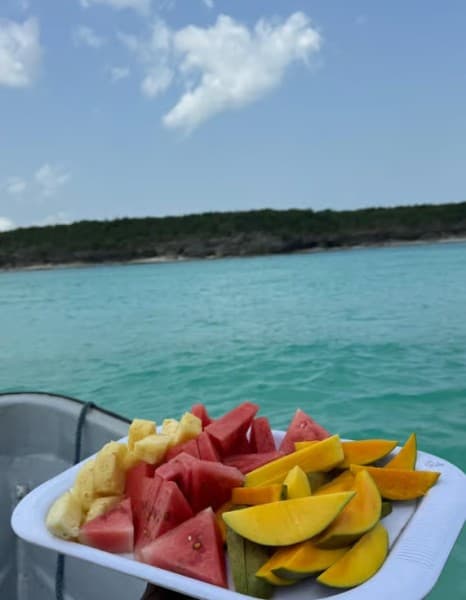 From Zanzibar: Mnemba Boat Tour with Snorkeling & Dolphine | ®ExcursionMania - Image 4