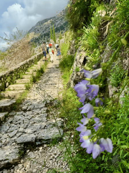 From Dubrovnik: Montenegro Coast Full-Day Trip | ®ExcursionMania