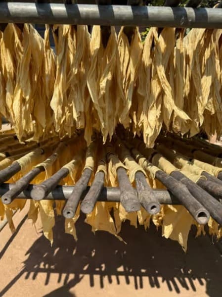 Phnom Penh: Silk Island Tour by Vespa | ®ExcursionMania - Image 3