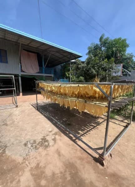 Phnom Penh: Silk Island Tour by Vespa | ®ExcursionMania