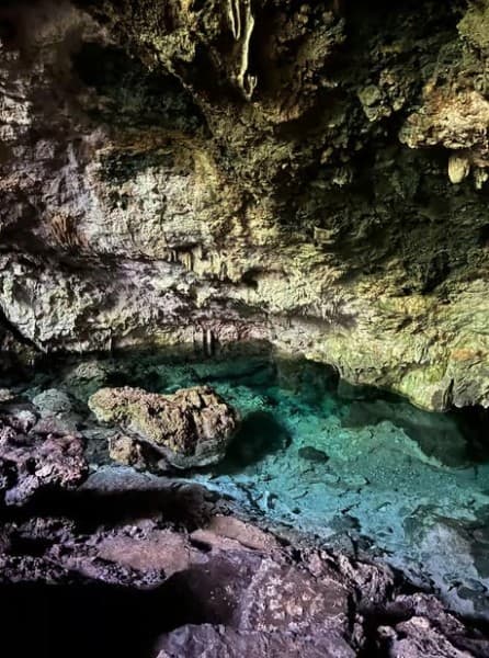 Zanzibar: Jozani Forest, Kuza Cave & Blue Lagoon | ®ExcursionMania - Image 3