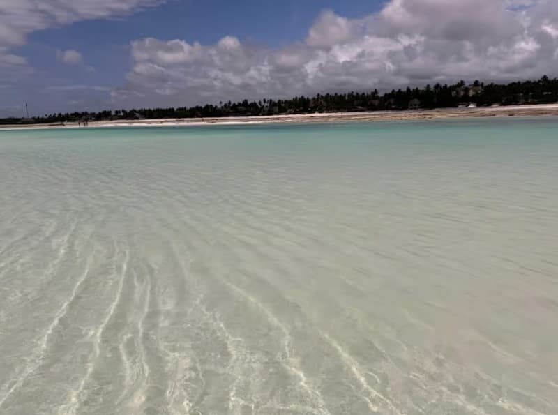 Zanzibar: Jozani Forest, Kuza Cave & Blue Lagoon | ®ExcursionMania - Image 4