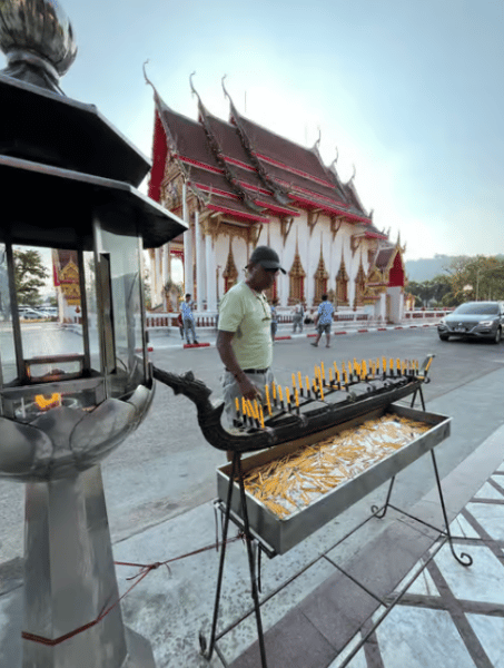 Phuket City Tour with Viewpoints, Temples & Elephant Feeding | ®ExcursionMania