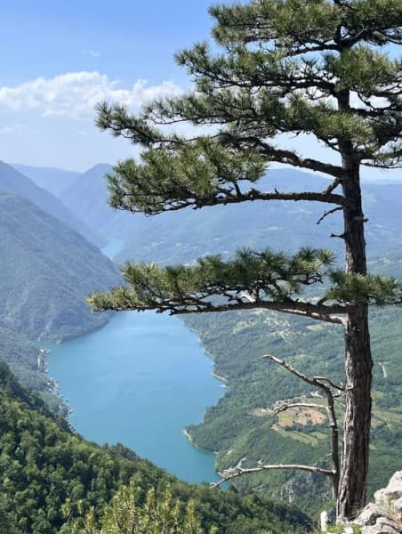 From Belgrade: Tara NP & Drina river & House on the Drina | ®ExcursionMania - Image 2