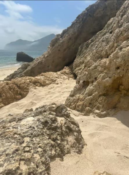 From Lisbon: Arrábida Natural Park Kayak Tour with Lunch | ®ExcursionMania