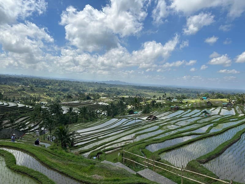 Full-Day Tour to Water Temples and UNESCO Rice Terraces in Bali | ®ExcursionMania - Image 2