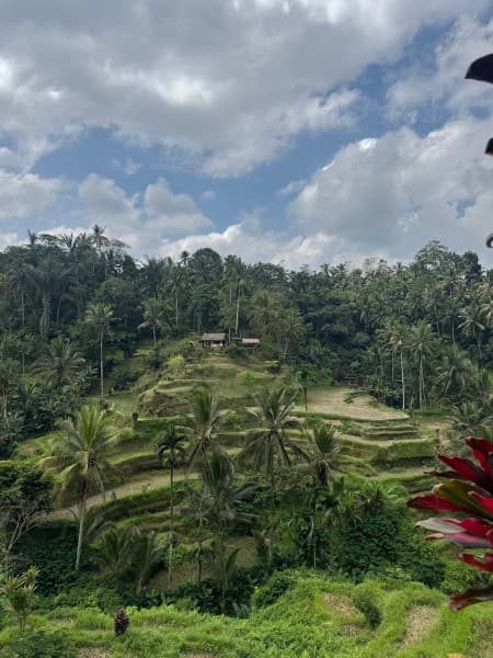 Ubud Top Attractions: Waterfalls, Temples and Rice Terraces | ®ExcursionMania - Image 3