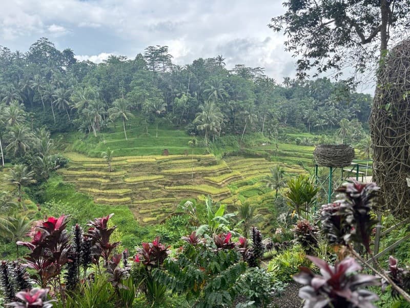 Ubud Volcano Lake and Natural Hot Spring Tour | ®ExcursionMania - Image 4