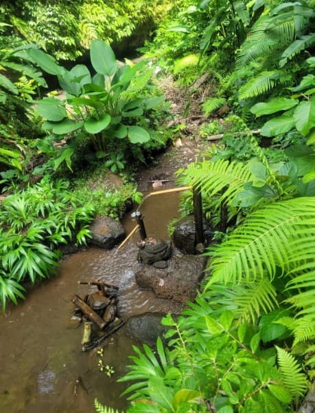 Best of Bali Waterfalls: Tibumana, Tukad Cepung and Tegenungan | ®ExcursionMania - Image 3