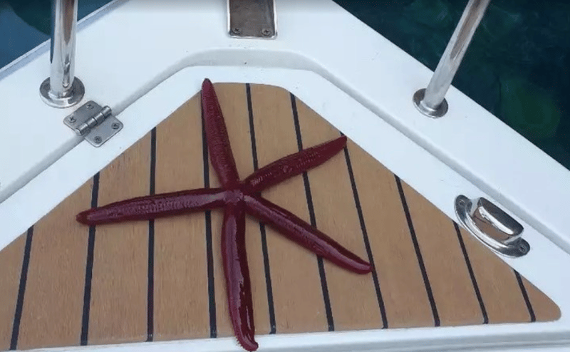 Private Tour: Custom Made Charged per Hour | ®ExcursionMania - Image 2