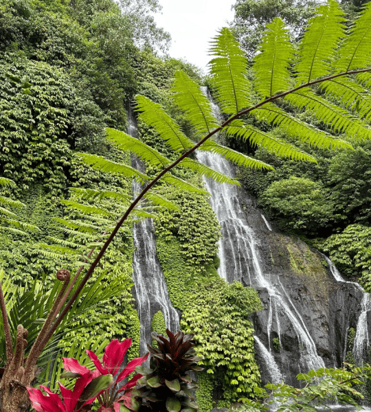 Instagram Tour in Bali: The Most Beautiful Spots | ®ExcursionMania - Image 1