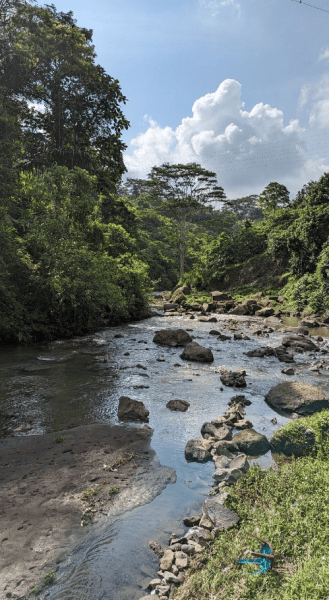Bali Blue Lagoon Snorkeling Experience | ®ExcursionMania - Image 4