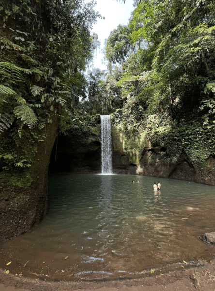 Bali Blue Lagoon Snorkeling Experience | ®ExcursionMania - Image 3
