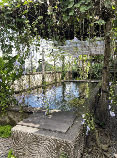 Bali Blue Lagoon Snorkeling Experience | ®ExcursionMania