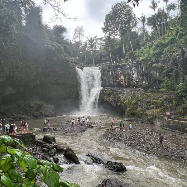 Highlights of Ubud & Mount Batur Volcano - Private Day Trip | ®ExcursionMania