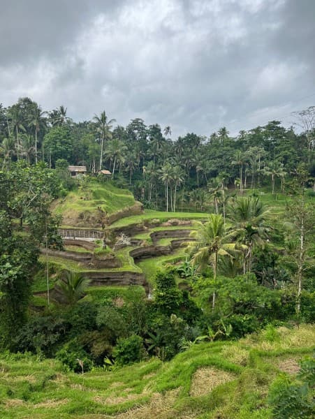 Highlights of Ubud & Mount Batur Volcano - Private Day Trip | ®ExcursionMania