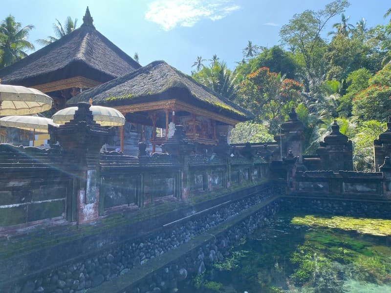 Ubud: Waterfall, Rice Terraces, and Monkey Forest Private Tour | ®ExcursionMania - Image 3