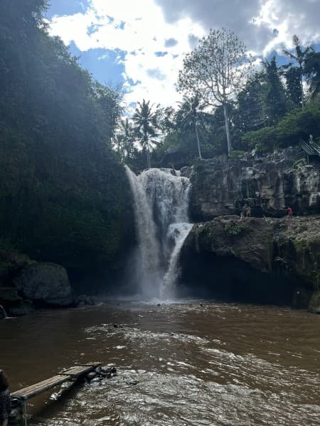 Ubud: Waterfall, Rice Terraces, and Monkey Forest Private Tour | ®ExcursionMania - Image 4