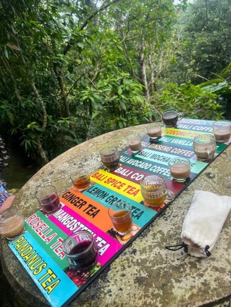 Best of Ubud Attractions: Private All-Inclusive Tour | ®ExcursionMania