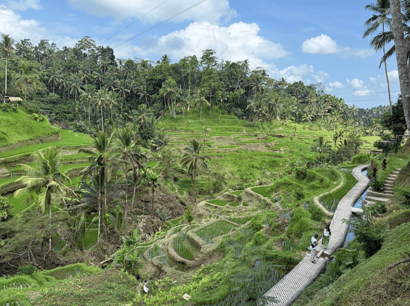Full-Day Mount Batur Volcano Sunrise Trek with Natural Hot Springs | ®ExcursionMania - Image 1