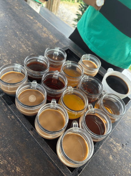 Full-Day Mount Batur Volcano Sunrise Trek with Natural Hot Springs | ®ExcursionMania