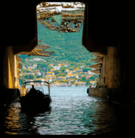 From Kotor: Blue Cave and Bay of Kotor Day Trip by Boat | ®ExcursionMania - Image 4