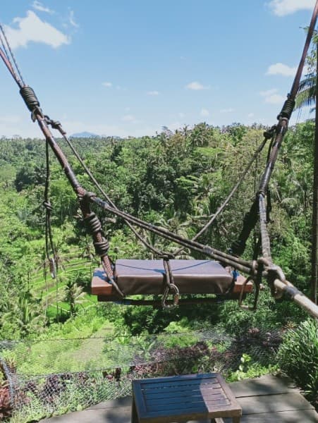 Bali Full Day Tour: Highlights of Ubud and Hidden Waterfall | ®ExcursionMania - Image 4