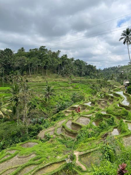 Private Full-Day Tour: Balinese Temples and Rice Terraces | ®ExcursionMania - Image 2