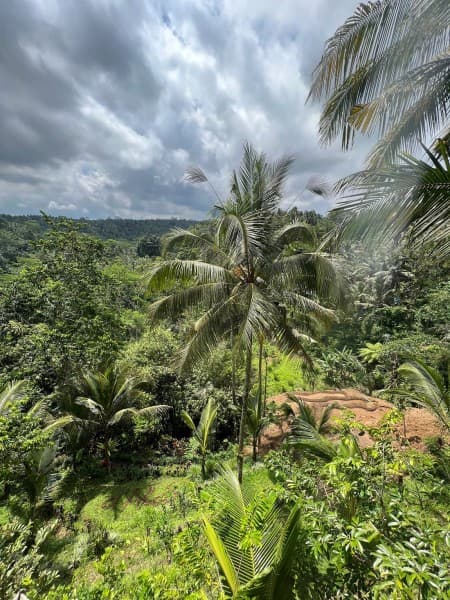 Private Full-Day Tour: Balinese Temples and Rice Terraces | ®ExcursionMania - Image 3