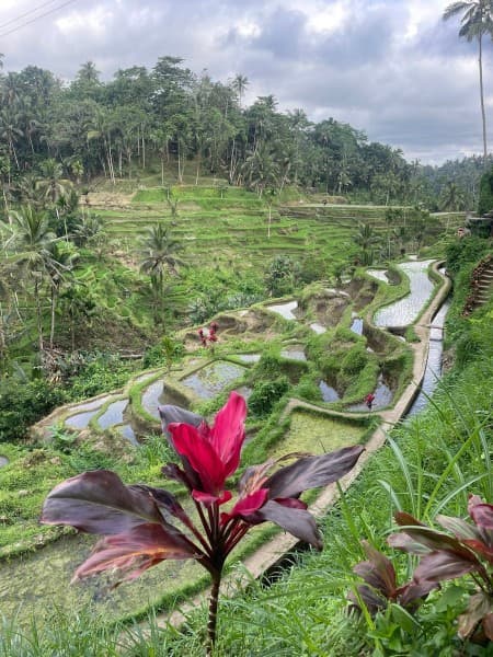 Private Tour: Ubud Highlights | ®ExcursionMania - Image 1